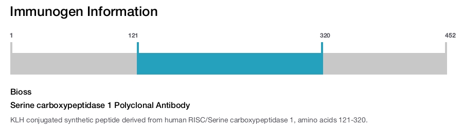 Serine carboxypeptidase 1 Polyclonal Antibody