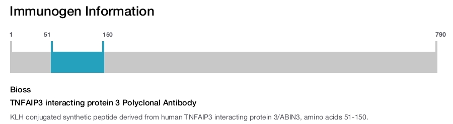 TNFAIP3 interacting protein 3 Polyclonal Antibody