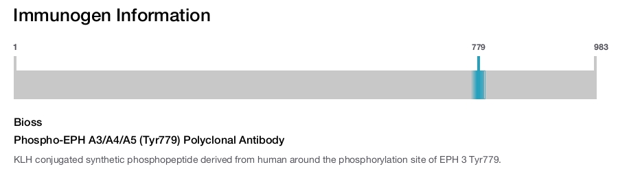 Phospho-EPH A3/A4/A5 (Tyr779) Polyclonal Antibody