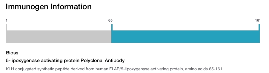 5-lipoxygenase activating protein Polyclonal Antibody