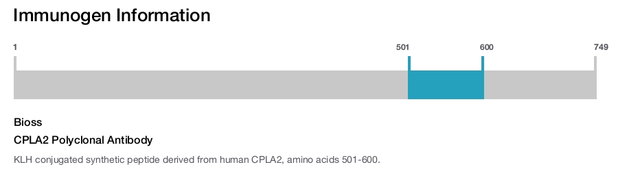 CPLA2 Polyclonal Antibody