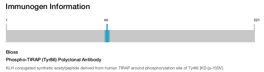 Phospho-TIRAP (Tyr86) Polyclonal Antibody