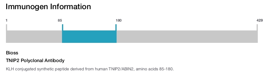 TNIP2 Polyclonal Antibody