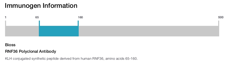 RNF36 Polyclonal Antibody