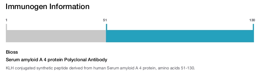 Serum amyloid A 4 protein Polyclonal Antibody
