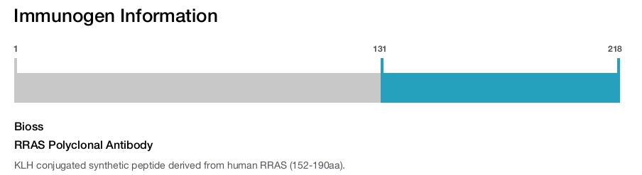 RRAS Polyclonal Antibody