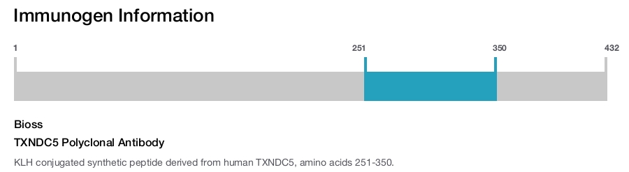 TXNDC5 Polyclonal Antibody