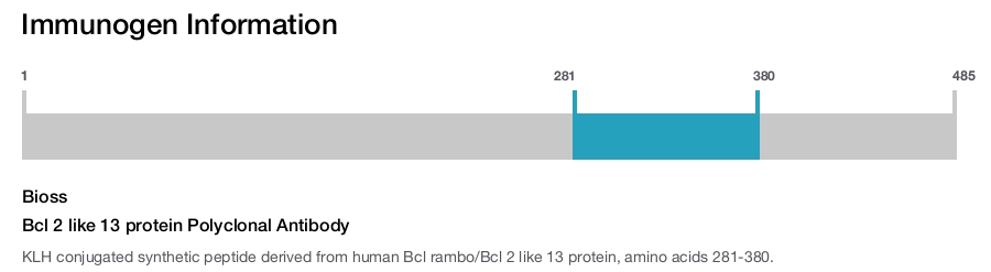 Bcl 2 like 13 protein Polyclonal Antibody