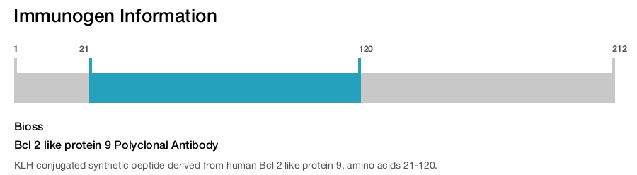 Bcl 2 like protein 9 Polyclonal Antibody