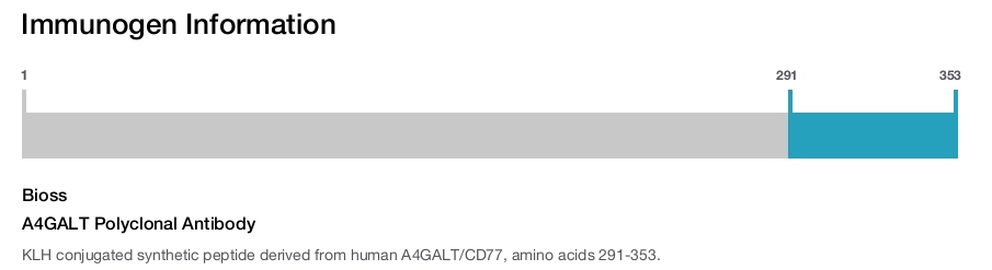 A4GALT Polyclonal Antibody