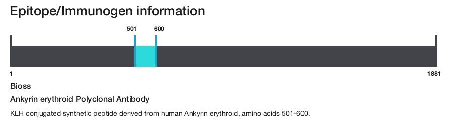 Ankyrin erythroid Polyclonal Antibody