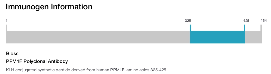 PPM1F Polyclonal Antibody