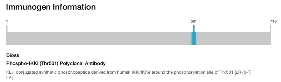 Phospho-IKKi (Thr501) Polyclonal Antibody