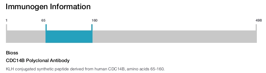 CDC14B Polyclonal Antibody