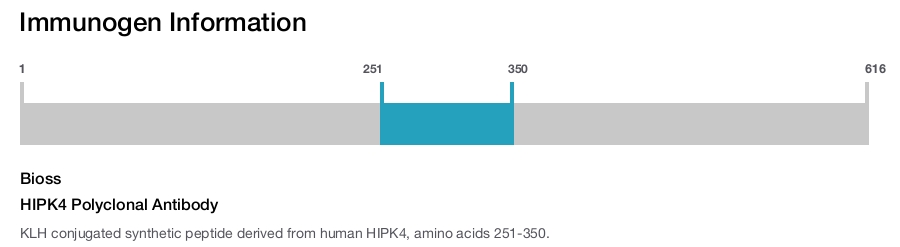 HIPK4 Polyclonal Antibody