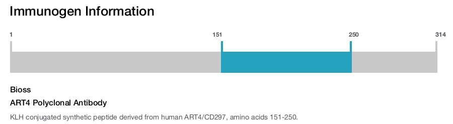 ART4 Polyclonal Antibody