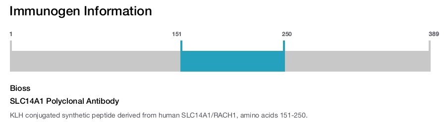 SLC14A1 Polyclonal Antibody