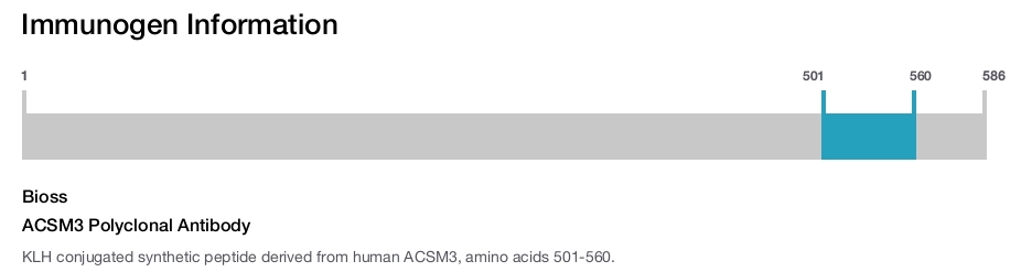 ACSM3 Polyclonal Antibody