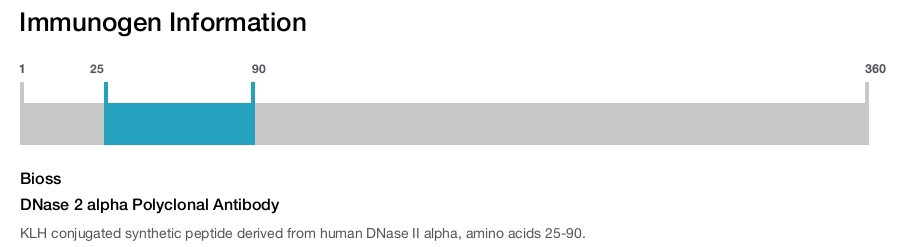 DNase 2 alpha Polyclonal Antibody