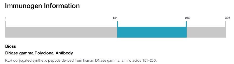 DNase gamma Polyclonal Antibody