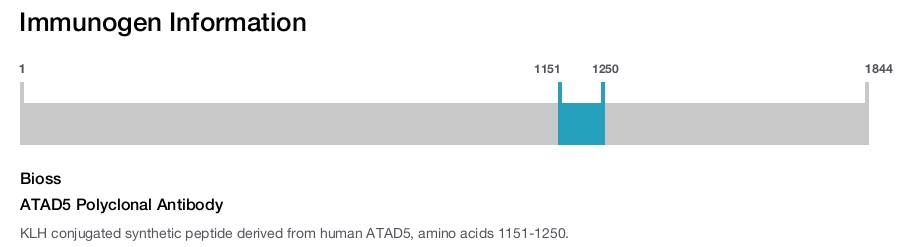 ATAD5 Polyclonal Antibody