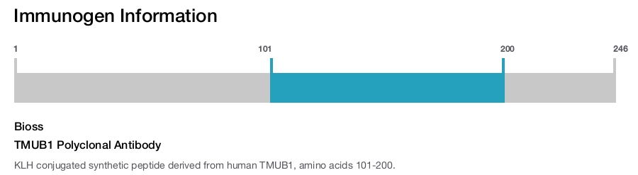 TMUB1 Polyclonal Antibody