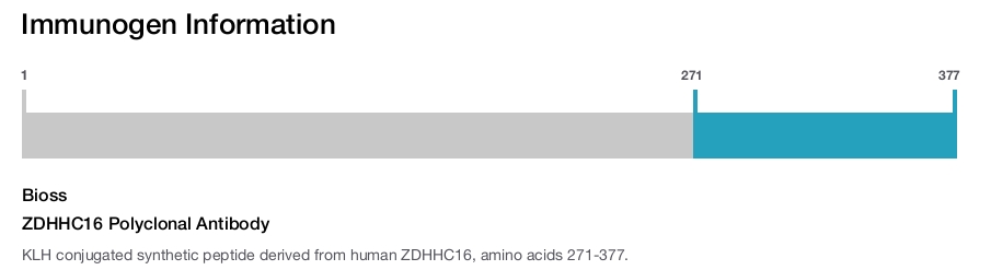 ZDHHC16 Polyclonal Antibody