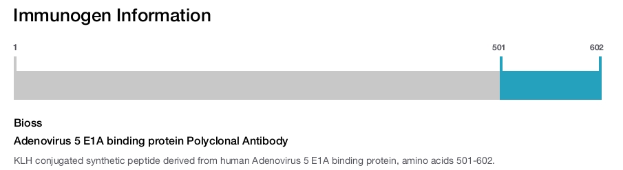 Adenovirus 5 E1A binding protein Polyclonal Antibody