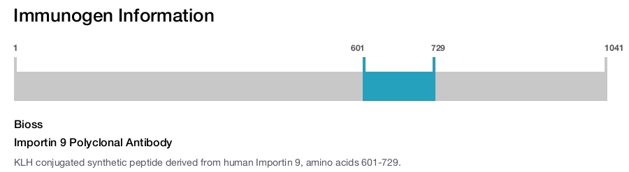 Importin 9 Polyclonal Antibody