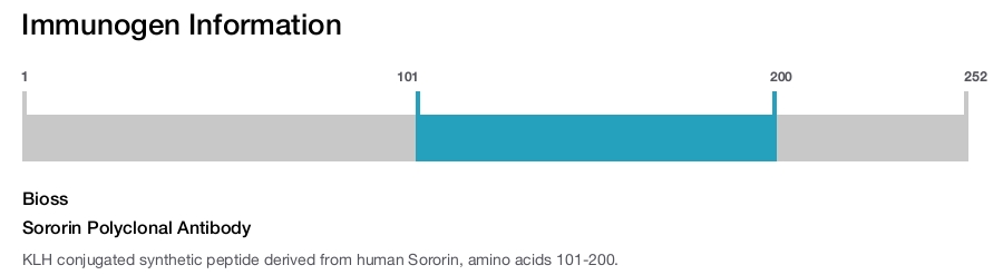 Sororin Polyclonal Antibody