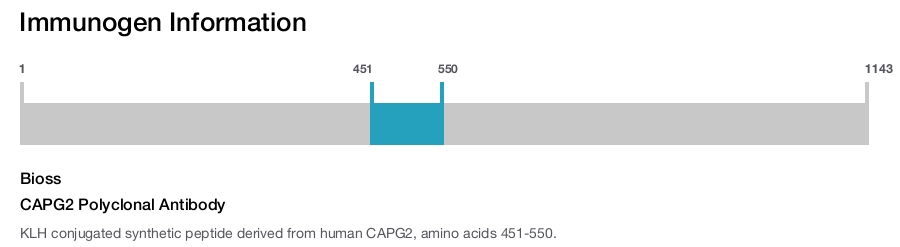 CAPG2 Polyclonal Antibody