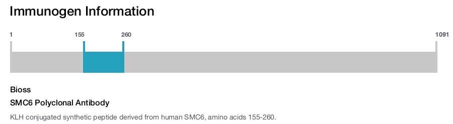 SMC6 Polyclonal Antibody