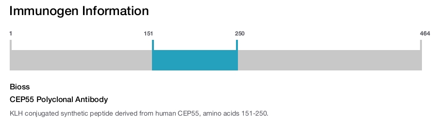 CEP55 Polyclonal Antibody