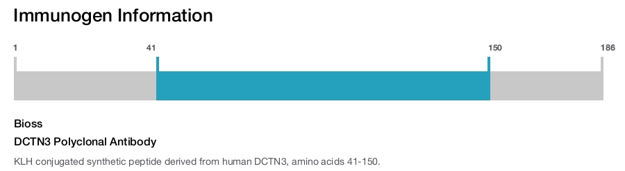 DCTN3 Polyclonal Antibody