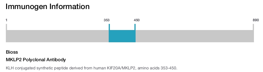 MKLP2 Polyclonal Antibody