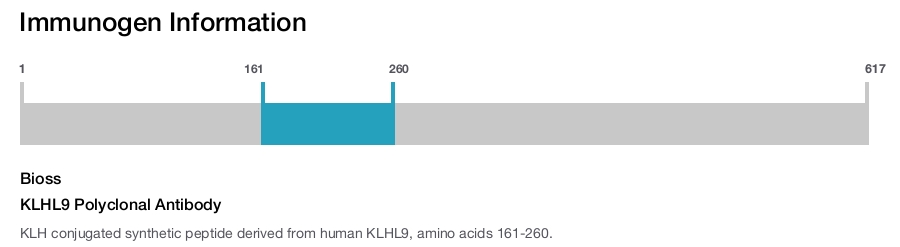 KLHL9 Polyclonal Antibody