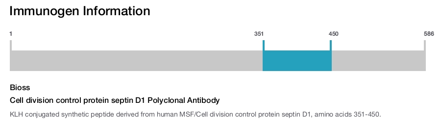 Cell division control protein septin D1 Polyclonal Antibody