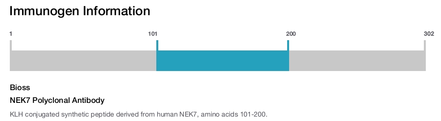 NEK7 Polyclonal Antibody