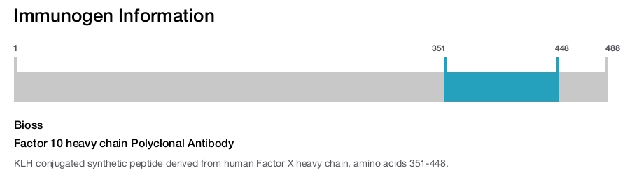 Factor 10 heavy chain Polyclonal Antibody