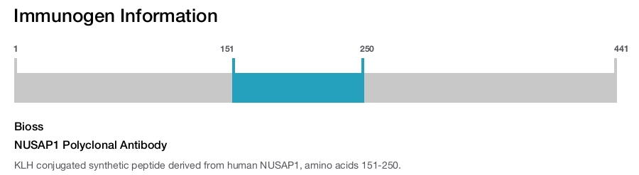 NUSAP1 Polyclonal Antibody