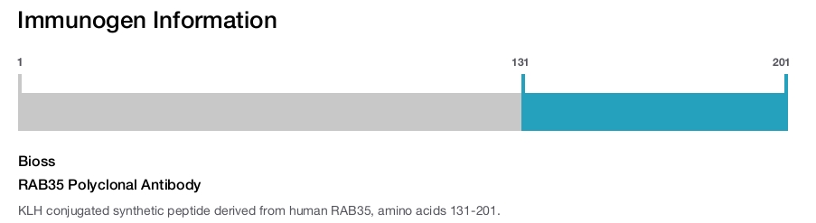 RAB35 Polyclonal Antibody