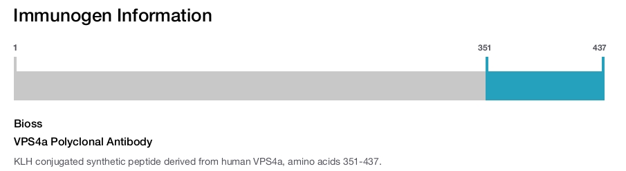 VPS4a Polyclonal Antibody