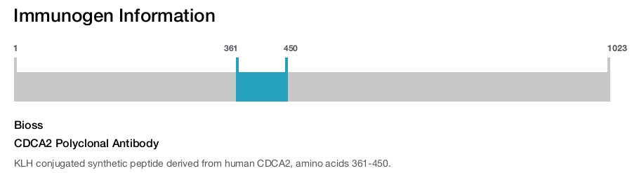 CDCA2 Polyclonal Antibody