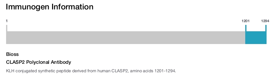 CLASP2 Polyclonal Antibody