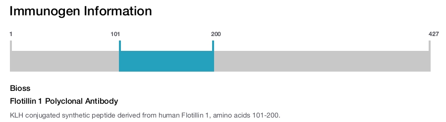 Flotillin 1 Polyclonal Antibody