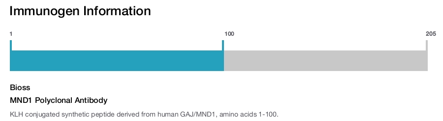 MND1 Polyclonal Antibody