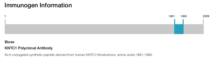 KNTC1 Polyclonal Antibody