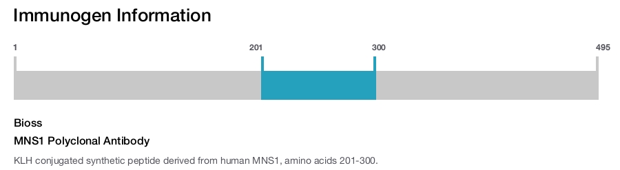 MNS1 Polyclonal Antibody