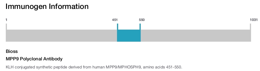 MPP9 Polyclonal Antibody