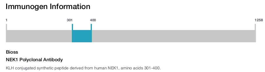 NEK1 Polyclonal Antibody